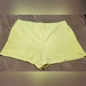 NWOT-Size 3X Shorts by Skies Are Blue